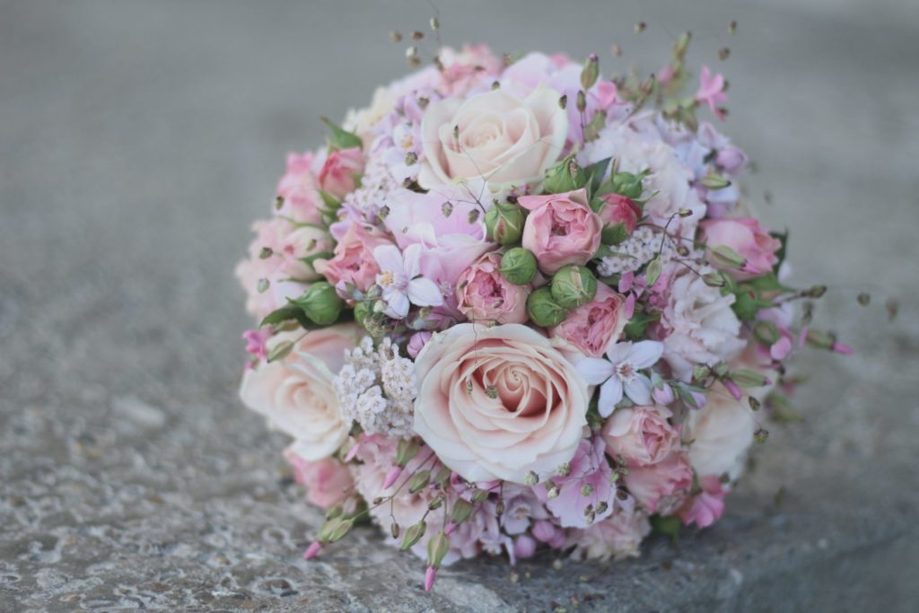 Unser Angebot – Blumenranch